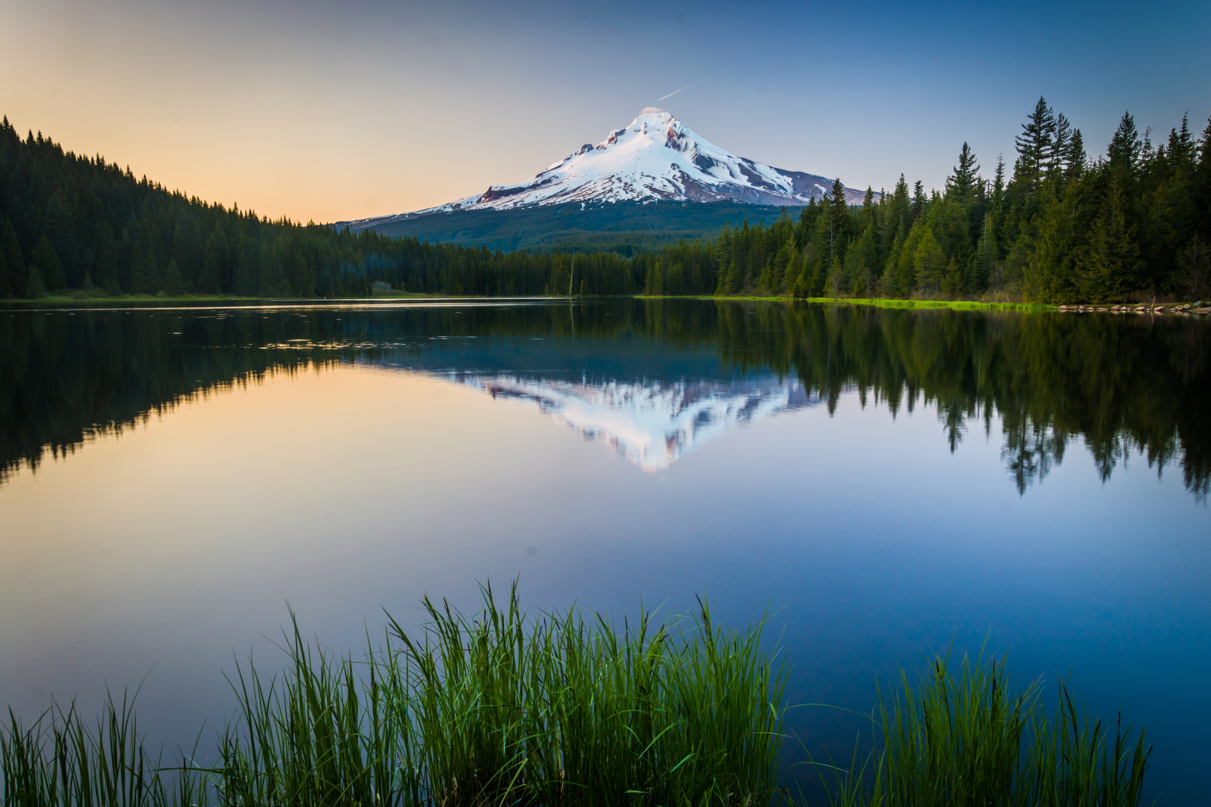 Affinity Behavioral Health